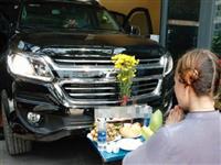 Cúng xe nên cúng hoa gì?