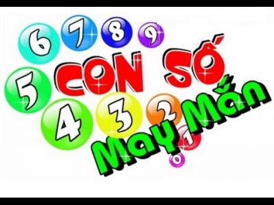 bien so xe phong thuy